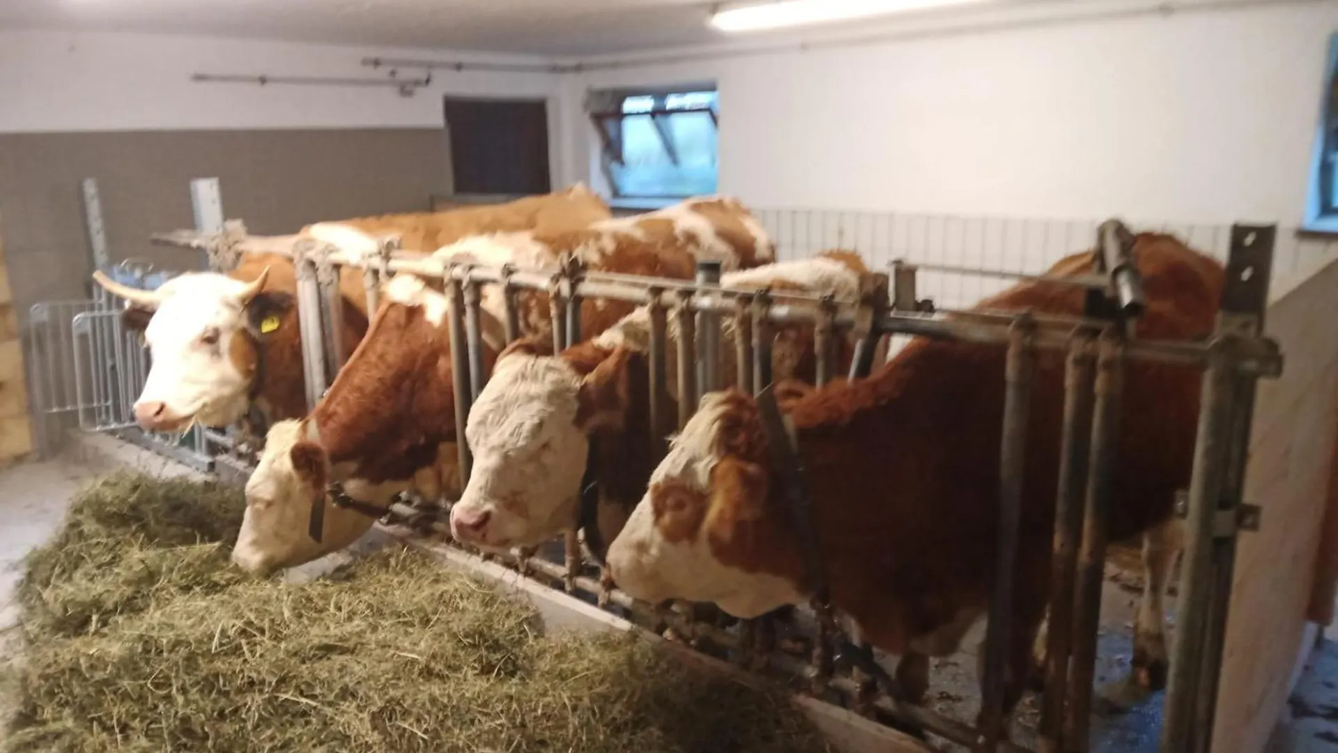 Ferienwohnung Mit Balkon In Guter Ausflugslage Schönau am Königssee